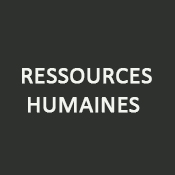 Superviser une équipe de travail